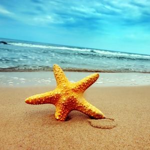 Meet your Posher, Raquel